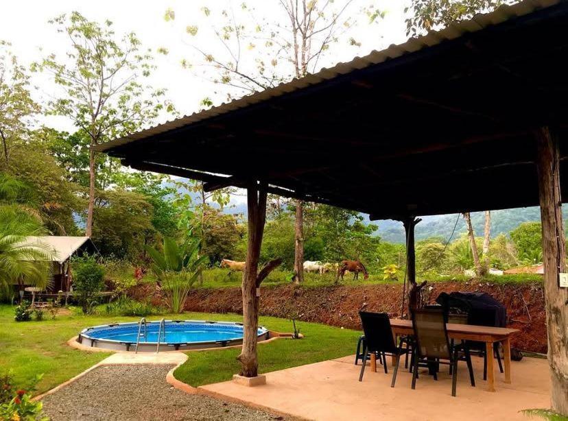 El Pulpo Safari Lodge Ojochal Exterior foto